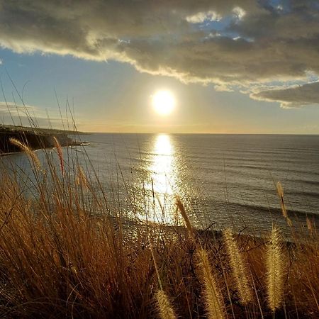 Willa Un Paraiso En Tenerife Punta Del Hidalgo Zewnętrze zdjęcie