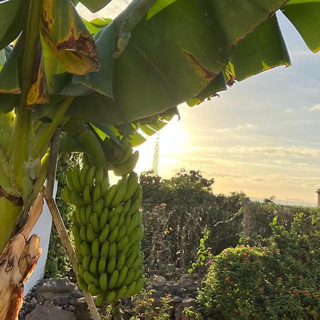 Willa Un Paraiso En Tenerife Punta Del Hidalgo Zewnętrze zdjęcie