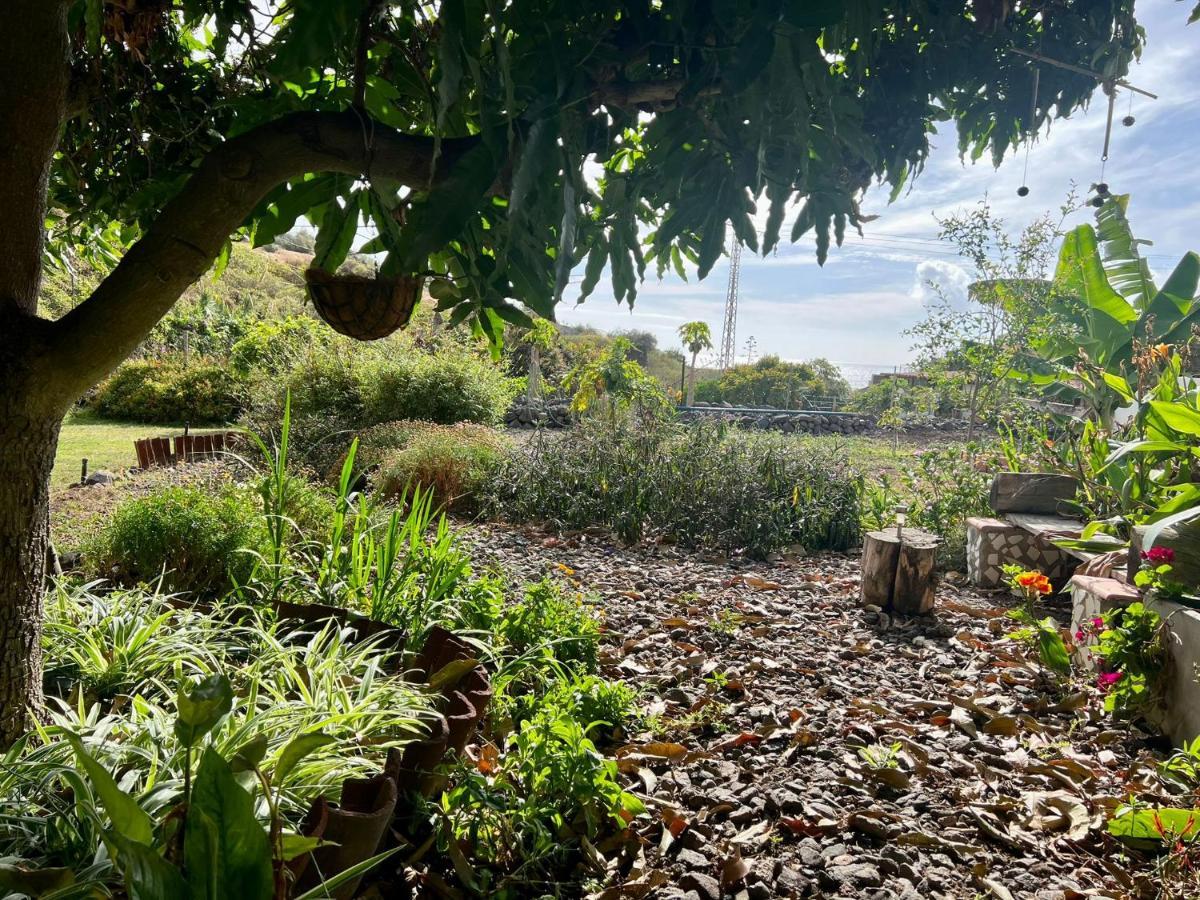 Willa Un Paraiso En Tenerife Punta Del Hidalgo Zewnętrze zdjęcie